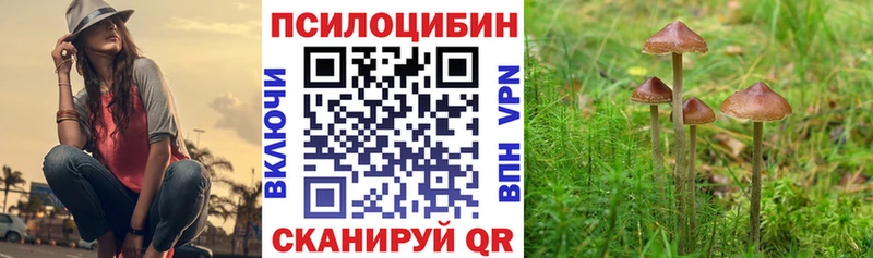 Псилоцибиновые грибы мухоморы  Краснообск 